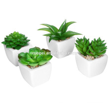 Mini potted factory sale various artificial plastic succulent plant for decor
